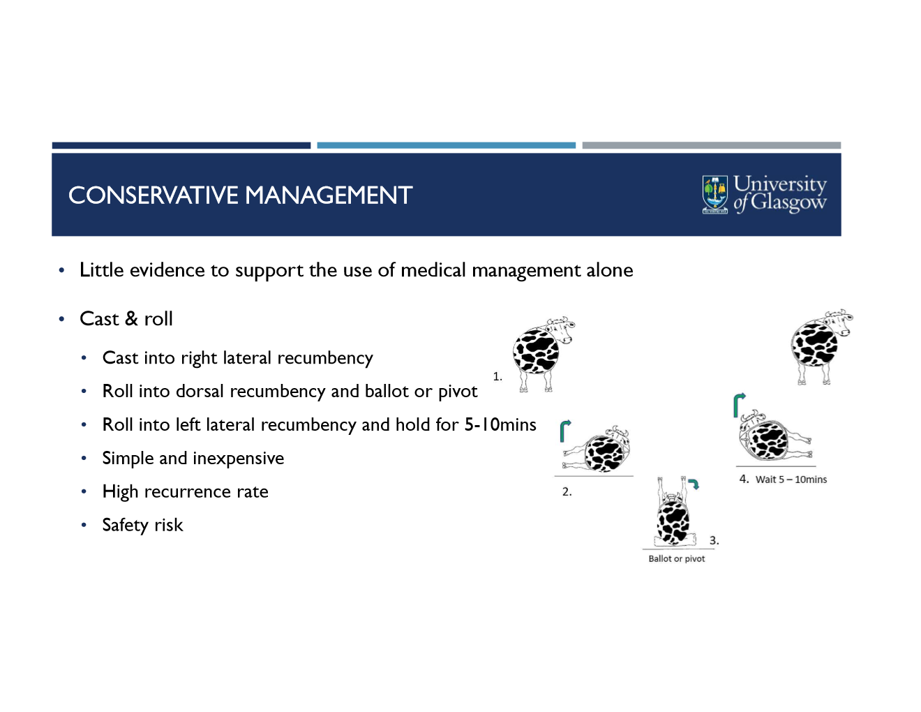 <ul><li><p>cast into right lateral recumbency</p></li><li><p>roll into dorsal recumbency and ballot or pivot</p></li><li><p>roll into left lateral recumbency and hold for 5-10 mins</p></li></ul><p></p><p></p><p>it is conservative management!</p><ul><li><p>simple and inexpensive</p></li><li><p>high recurrence rate</p></li><li><p>high recurrence rate</p></li><li><p>safety risk</p></li></ul><p></p>
