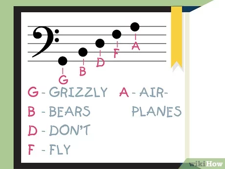 <p>grizzly</p><p>bears</p><p>dont</p><p>fly</p><p>airplanes</p>