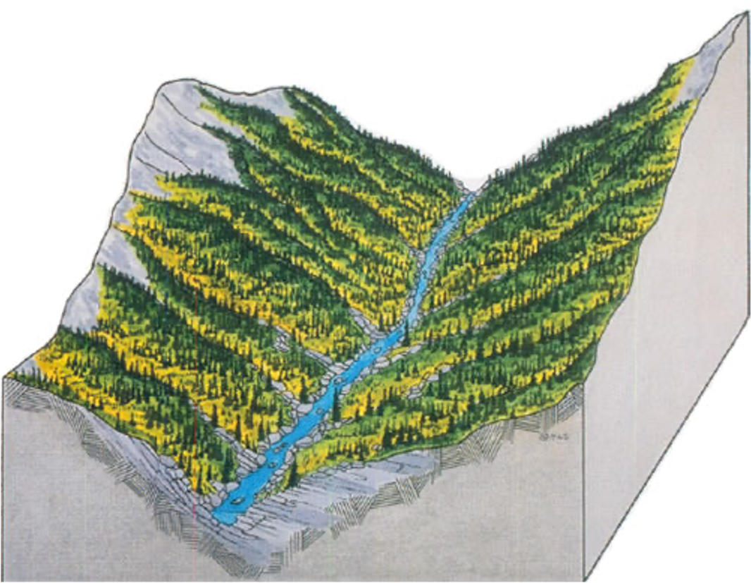 typisch hoog in de bergen. 