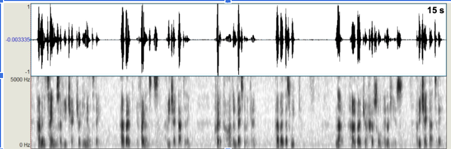 <p>raw speech signal (top) and spectrogram (bottom) </p>