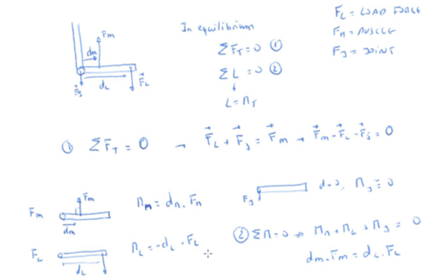 <p>The sum of forces and the sum of torques must be zero in equilibrium</p>