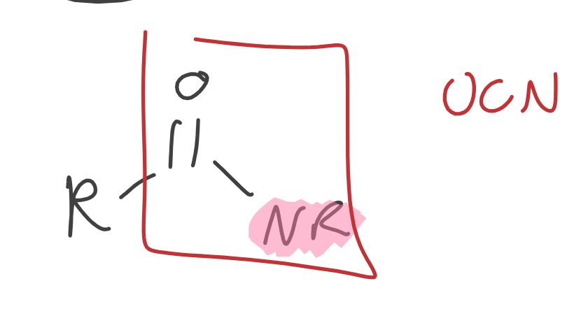 <ul><li><p>Contains Nitrogen</p></li></ul><p></p>