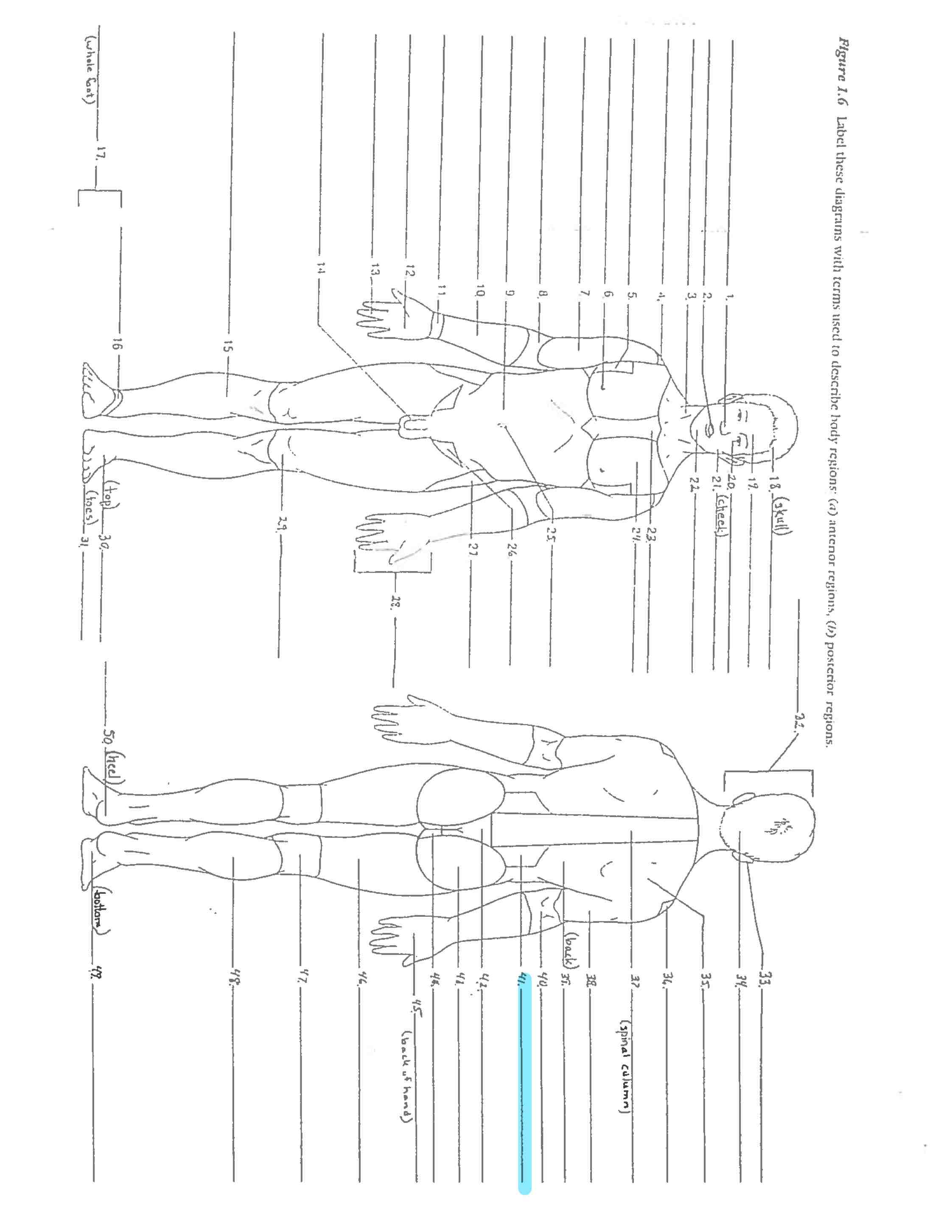 <p>Line 41 </p>