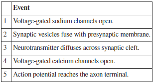 <p>Refer to the table. Arrange the numbered events listed in the table in order of their occurrence during a chemical synaptic transmission.</p>