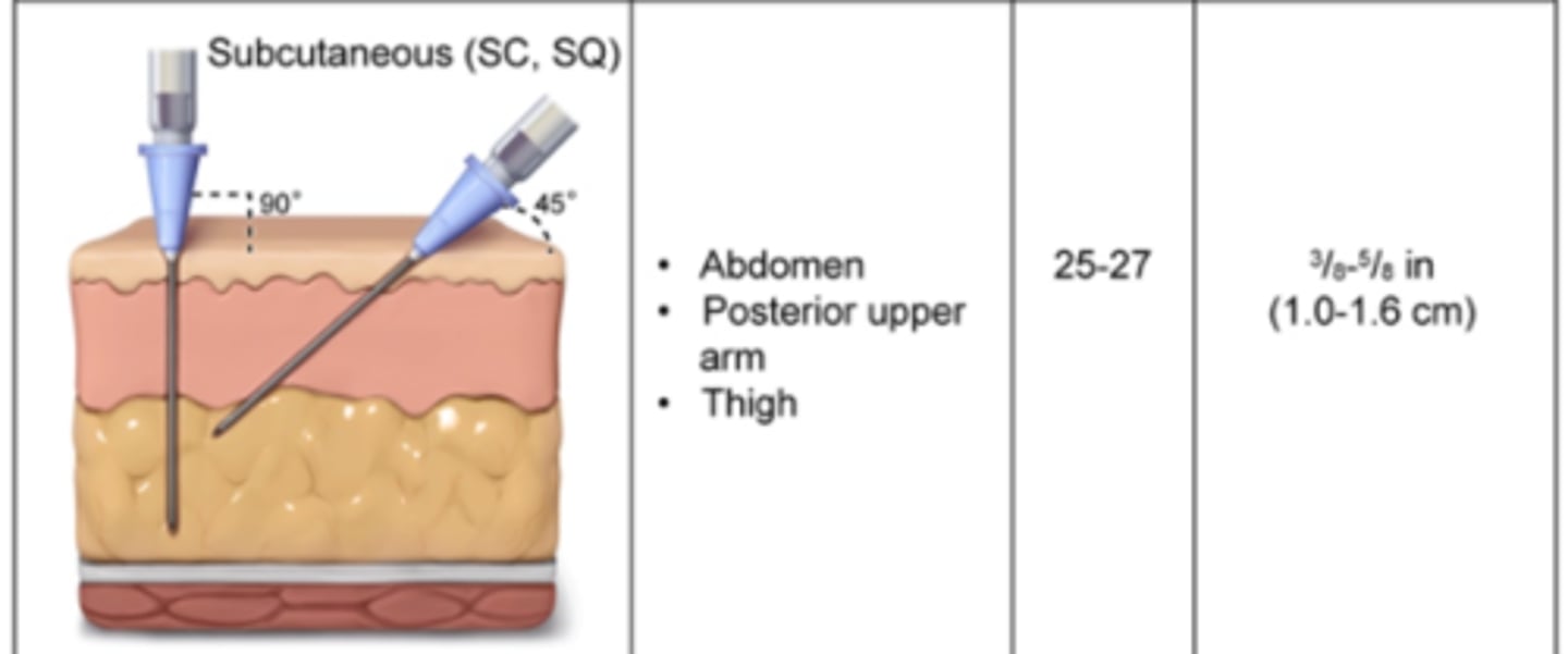 <p>Injection in the hypodermis</p>