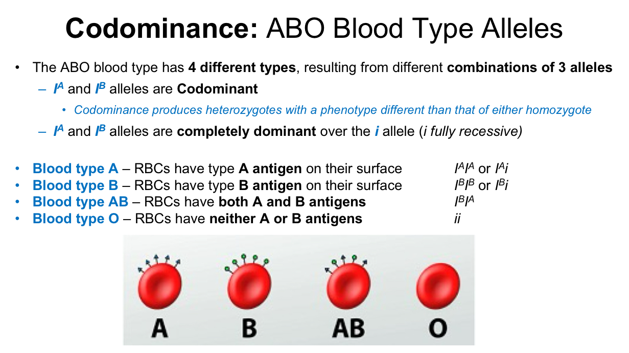 <p>A</p><p>B</p><p>A, B</p><p>A,B </p>