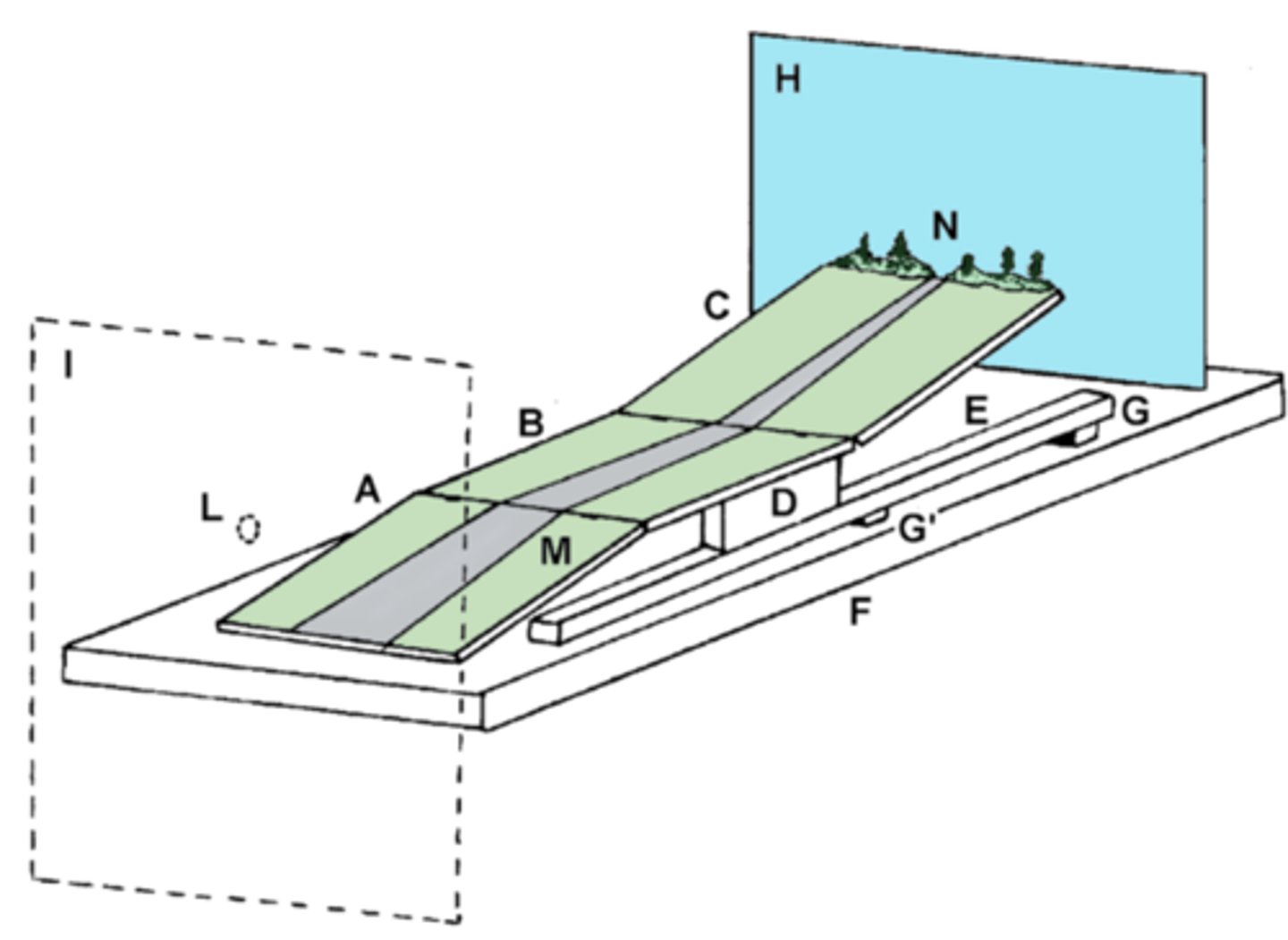 <p>visual illusion where a car appears to roll uphill, defying gravity, when it's actually rolling downhill</p>