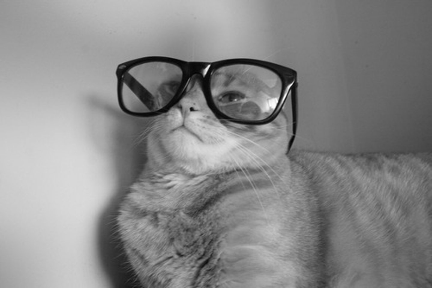 <p>decreased depth perception, difficult night vision, glare sensitivity</p>