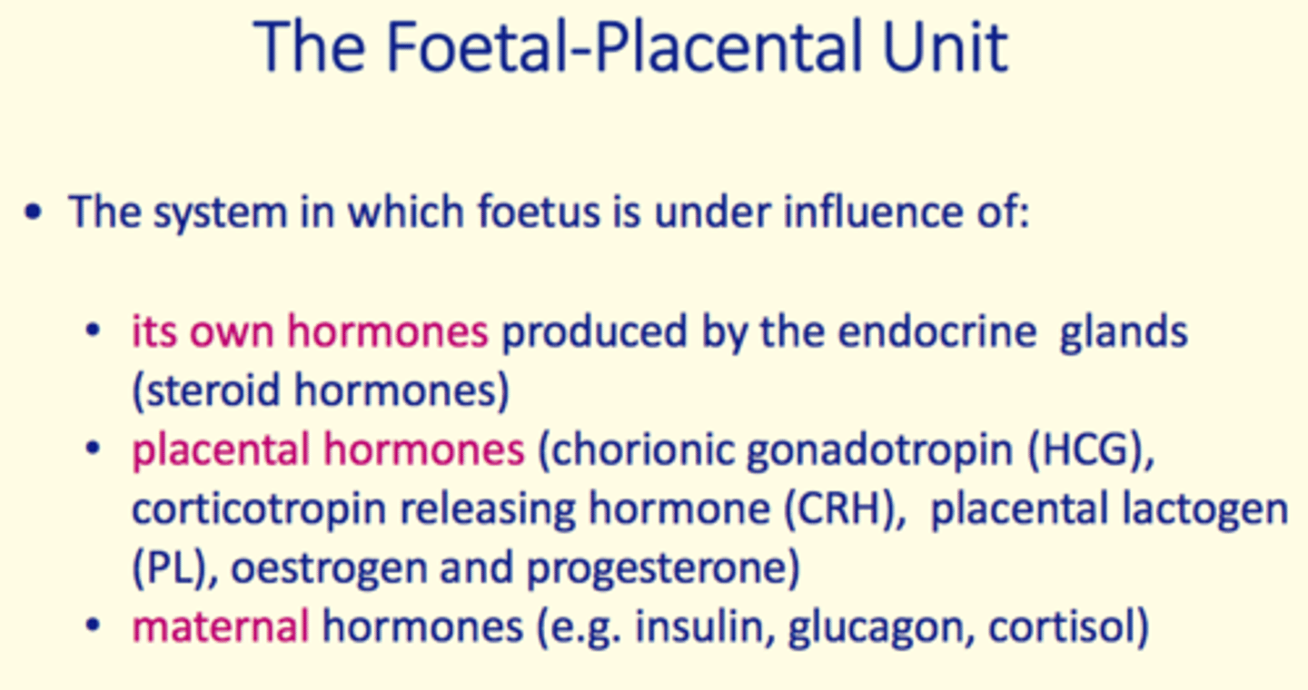 <p>1) Foetal hormones</p><p>2) Placental hormones</p><p>3) Maternal hormones</p>