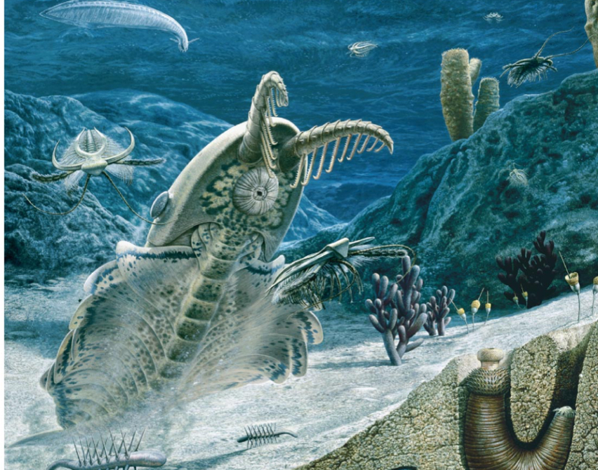 <p>Cambrian Explosion</p>