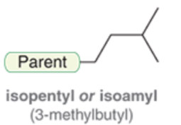 <p>A five-carbon alkyl functional group, derived from isopentane, characterized by a branched structure where the attachment point is on a primary carbon, and the secondary carbon is bonded to a hydrogen and a methyl group, while the tertiary carbon is bonded to two methyl groups.</p>