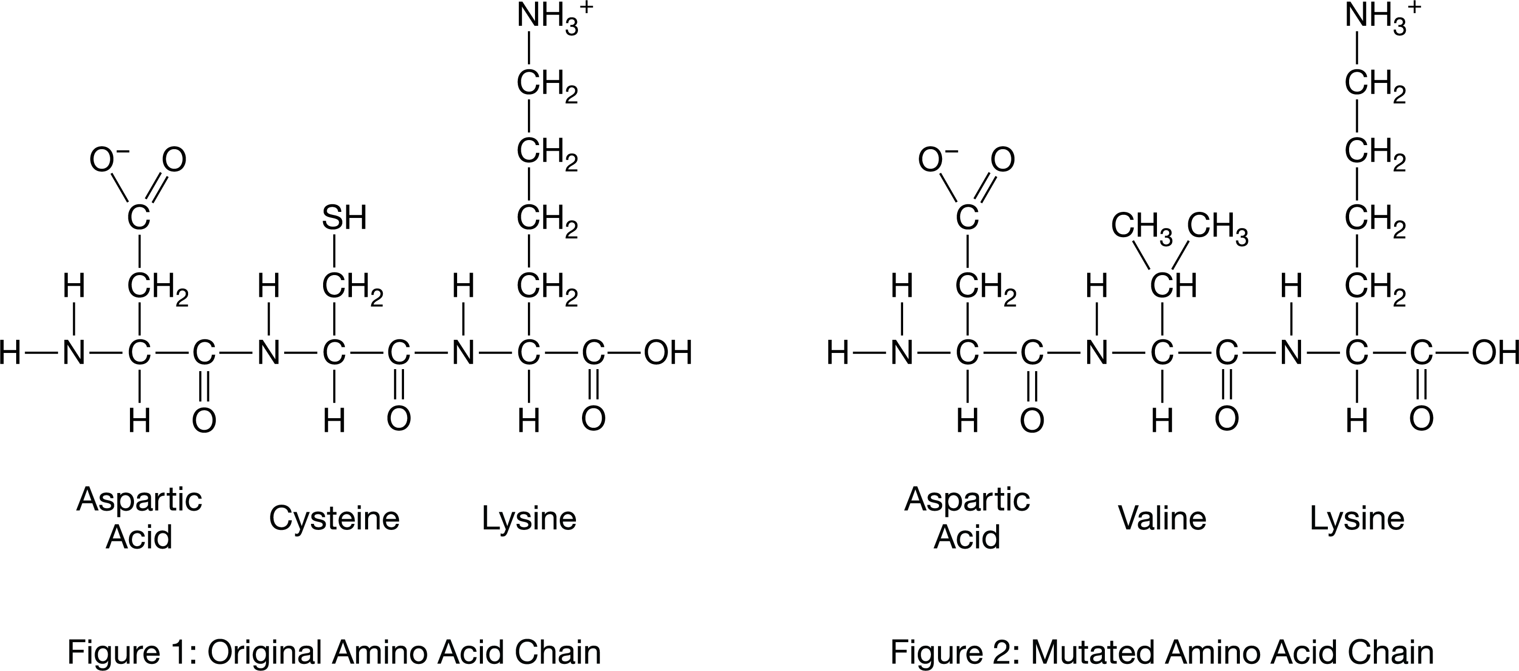 <p>Figure 1. A representation of a reaction involved in the formation of a biological molecule Which of the following best explains the reaction represented in Figure 1 ?</p>