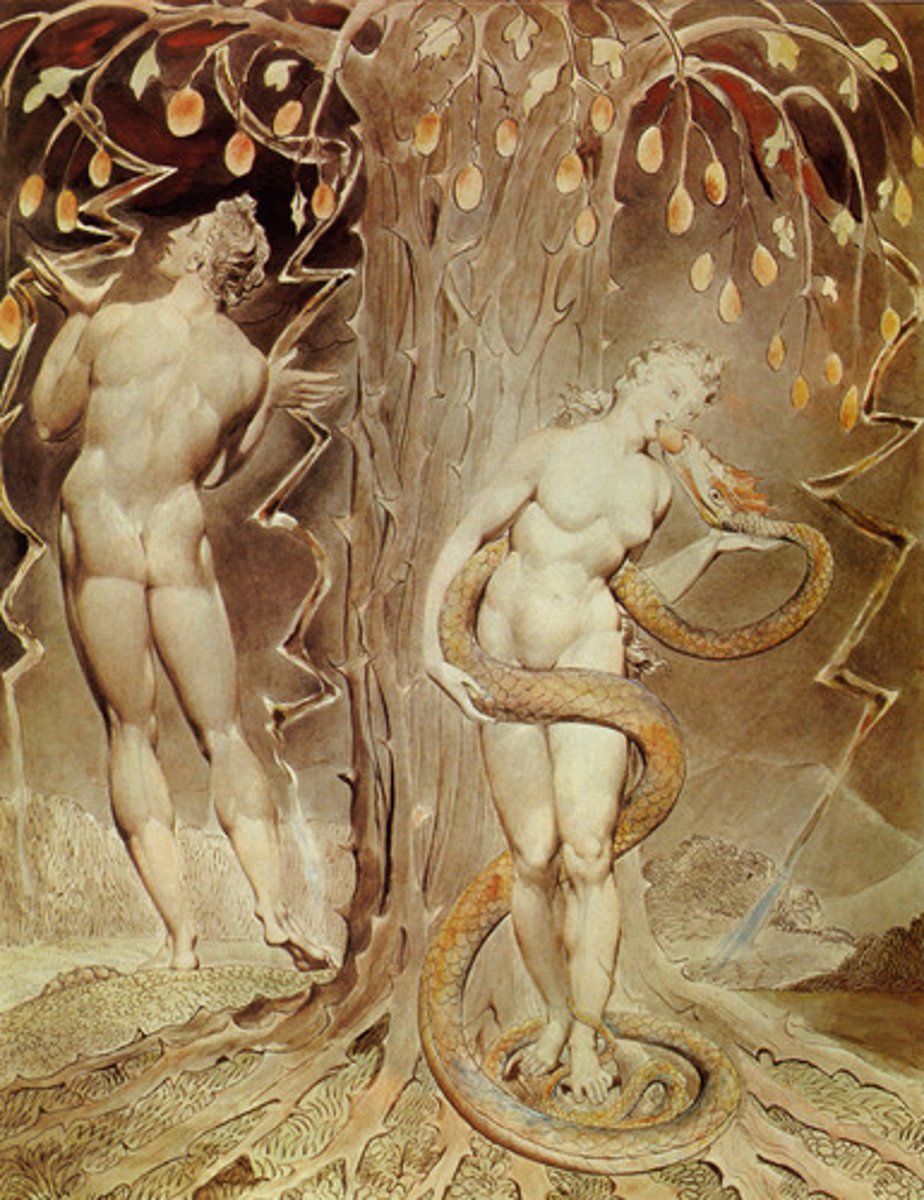 <p>Mann, Mensch</p>