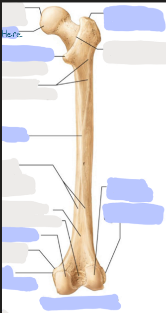 <p>What is here?</p>