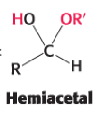 <p>hemiacetal </p>