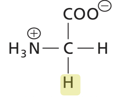 <p>Achiral, weakly polar, and very small</p>