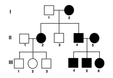 <p><span>The pedigree above shows the presence of freckles through three generations of a family. Having freckles is an autosomal recessive trait controlled by a single gene. What is the genotype of individual II-3? </span></p>