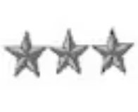 <p>Three silver five pointed stars (O9)</p>