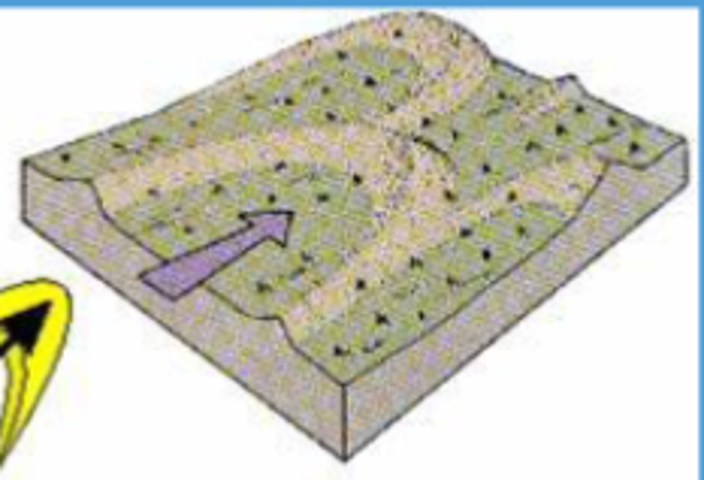 <p>•U-vormige zandduinen met hoorns die met de wind mee wijzen</p><p>•Combinatie van wind en gedeeltelijke vegetatie</p><p>Wind komt aan de concave kant</p>