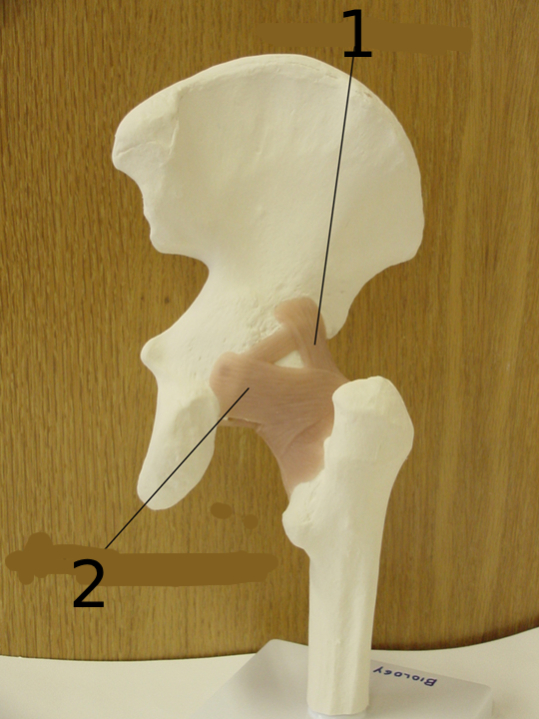 <p>#1</p>