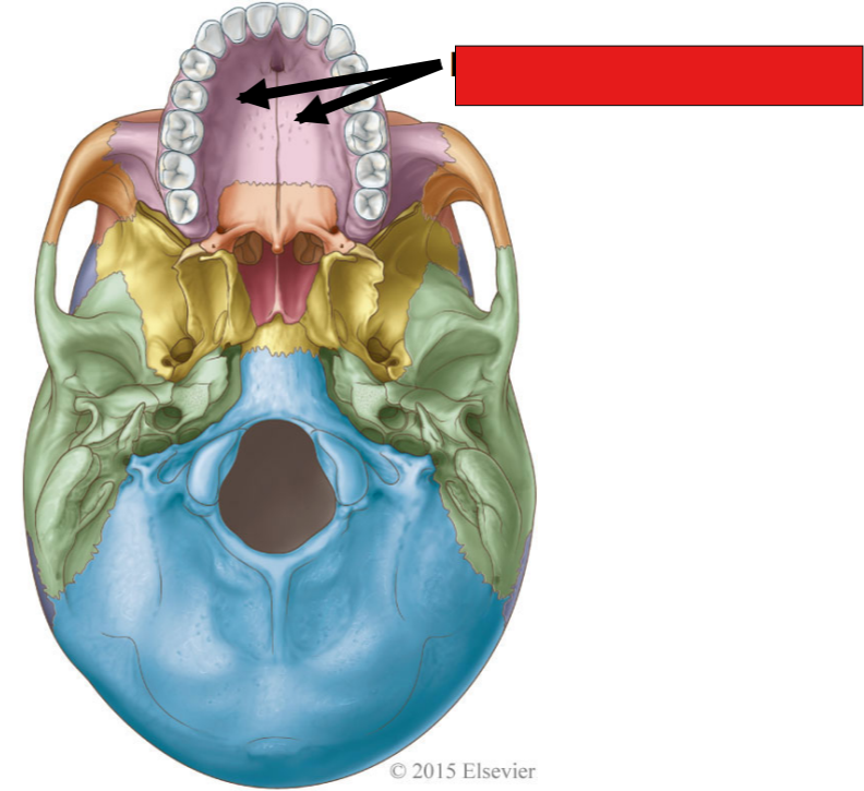 <p>fil in the red box:</p>