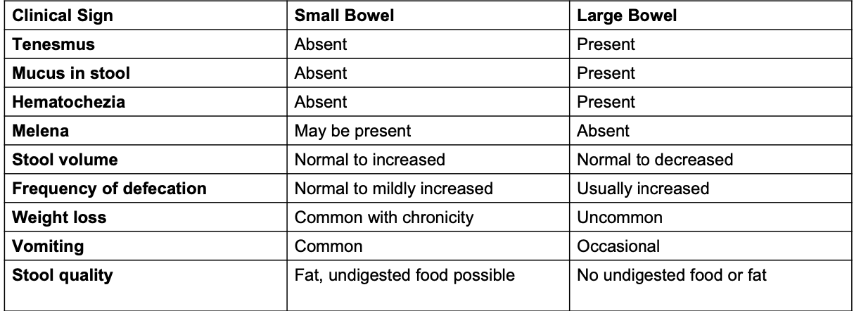 <p><strong>tenesmus, mucus in stool, hematochezia</strong></p><p>-<strong>melena is not present</strong></p><p>-normal to <strong>decreased stool volume</strong></p><p>-frequency of defecation usually increased</p><p><strong>-weight loss is uncommon</strong></p><p>-occasional vomiting</p><p>-<strong>will not see undigested food/fat in stool</strong></p>