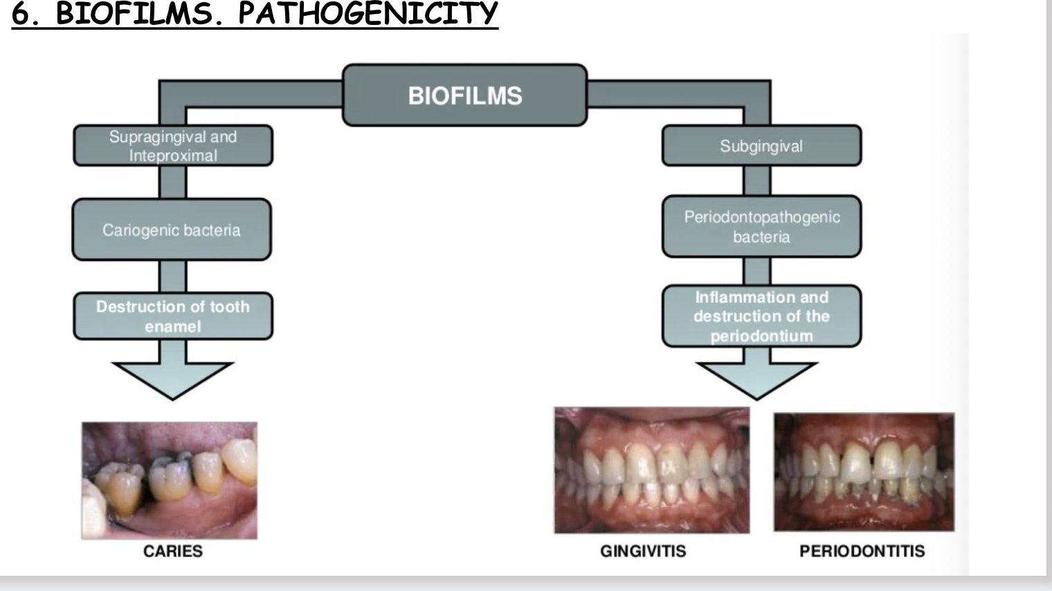 <p>Supra gingival and inter proximal- causes carcinogenic bacteria to thrive,- destruction of tooth and enamel.</p><p>Subgingival- periodontopathogenuc bacteria, causes inflammation and destruction of periodontal</p>