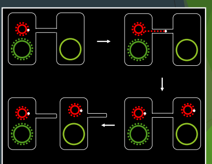 <ol><li><p>Formación de pares efectivos </p></li><li><p>transferencia de ADN: Origen de transferencia y replicación de cadenas ADN</p></li></ol><p>__________________________</p><ol><li><p><strong>Formación del pilus de conjugación</strong>: La célula donante forma un pilus sexual que se extiende hacia la célula receptora.</p></li><li><p><strong>Contacto con la célula receptora</strong>: El pilus se adhiere a la célula receptora y se retrae, acercando ambas células.</p></li><li><p><strong>Formación del canal de conjugación</strong>: Se establece un canal entre las células para permitir la transferencia de ADN.</p></li><li><p><strong>Transferencia del plásmido</strong>: Una hebra del plásmido conjugativo se transfiere desde la célula donante a la receptora.</p></li><li><p><strong>Síntesis de la hebra complementaria</strong>: En la célula receptora, el plásmido se replica, formando una copia completa.</p></li></ol><p></p>