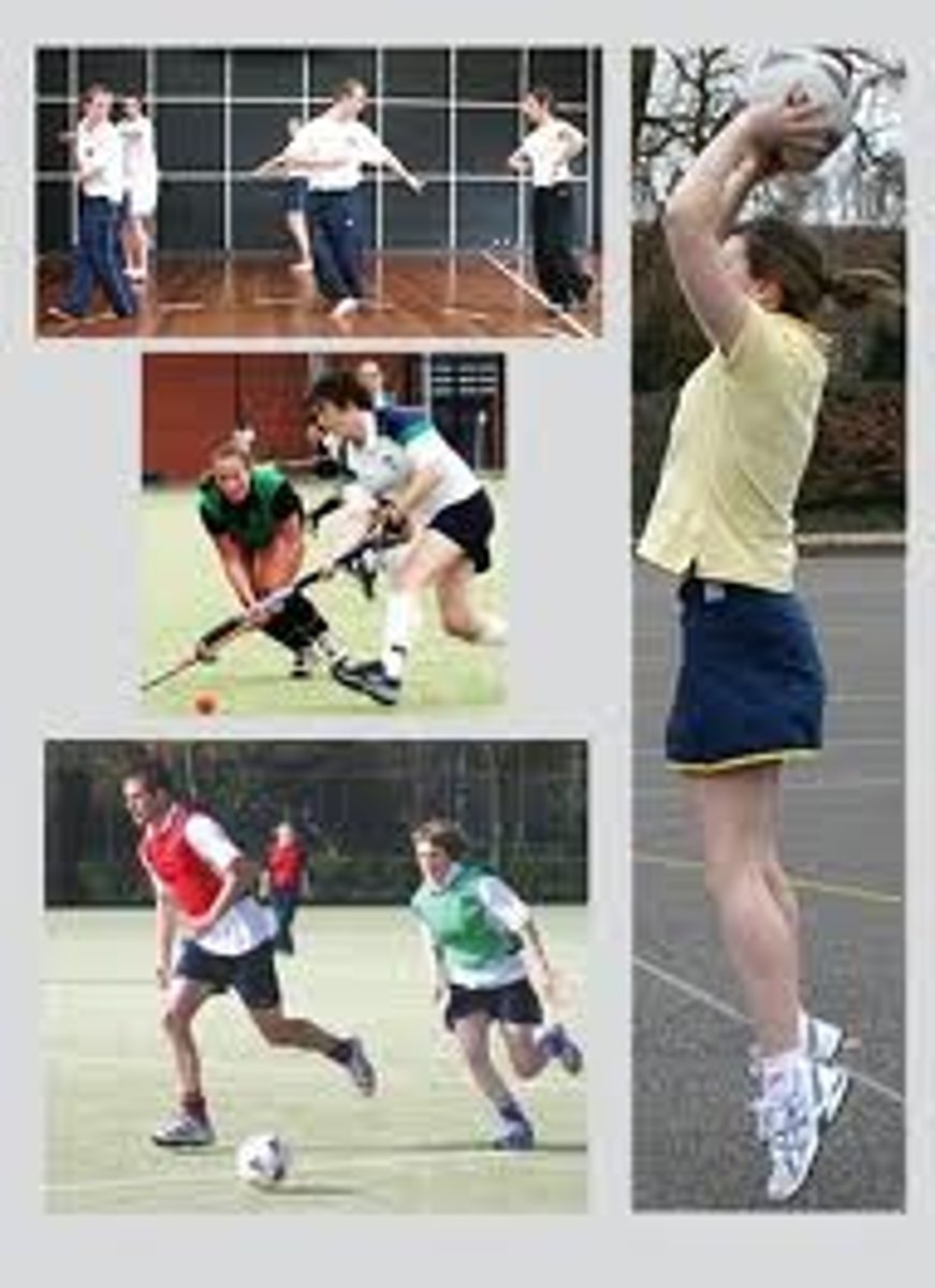 <p>physical education</p>