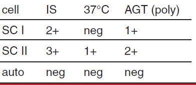 <p>possible interpretation of antibody screen </p>
