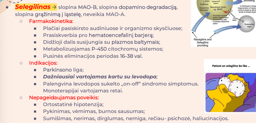 <p><strong>Selegelinas</strong>; Rasagilinas.</p>