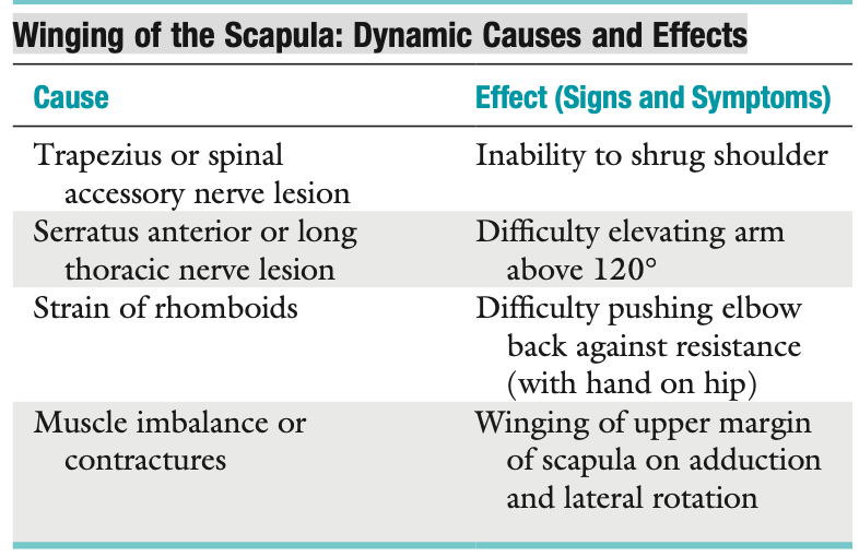<p><span style="font-family: HelveticaNeue"><strong>Winging of the Scapula: Dynamic Causes and Effects</strong></span></p>