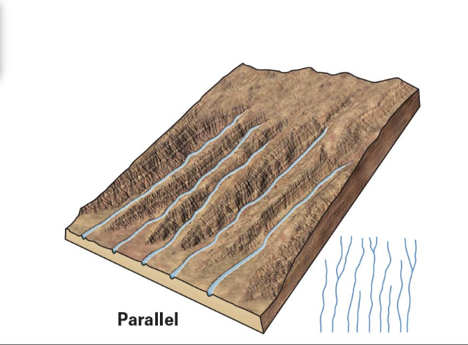 <p>steep uniform slope</p>