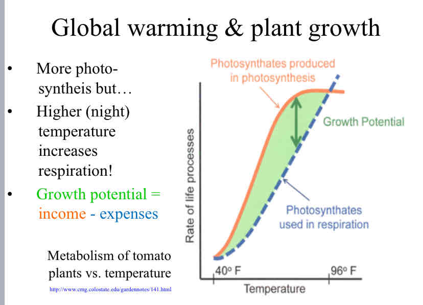 <p>Global Warming &amp; Plan Growth</p>