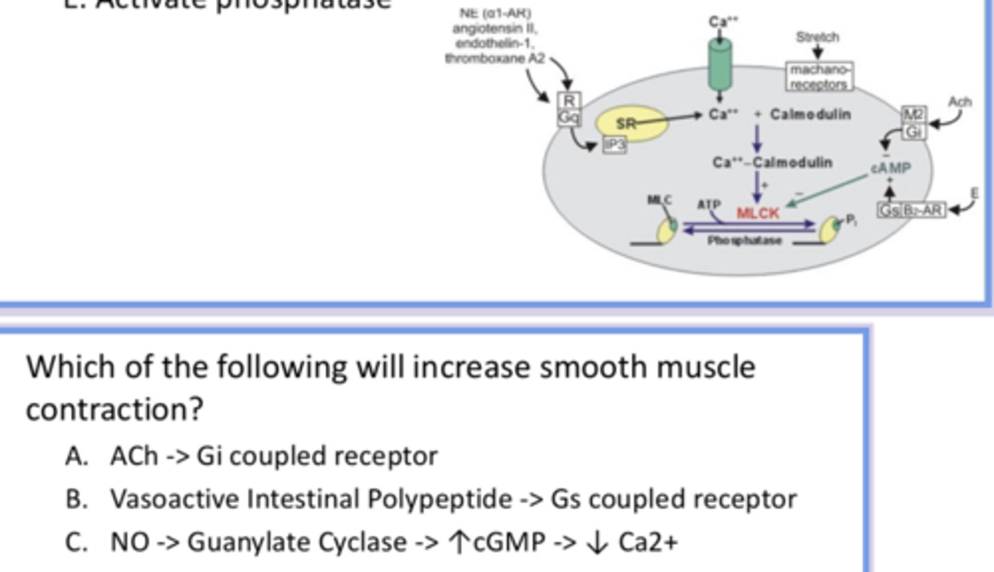 <p>answer the question and provide reasoning for all answer options</p>