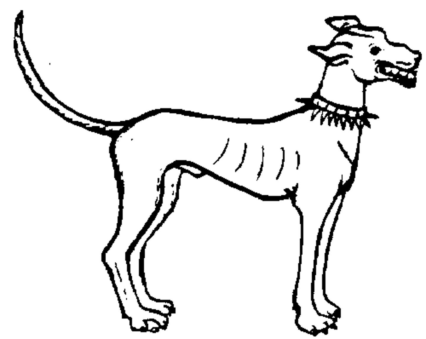 <p>canis, m.: hond</p>