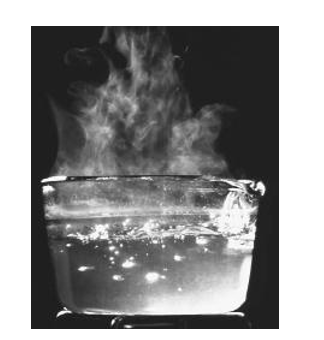 <p>Needs much more time to destroy endospores so not very reliable </p><p>-sanitation</p><ul><li><p>Moist Heat Related </p></li></ul><p></p>