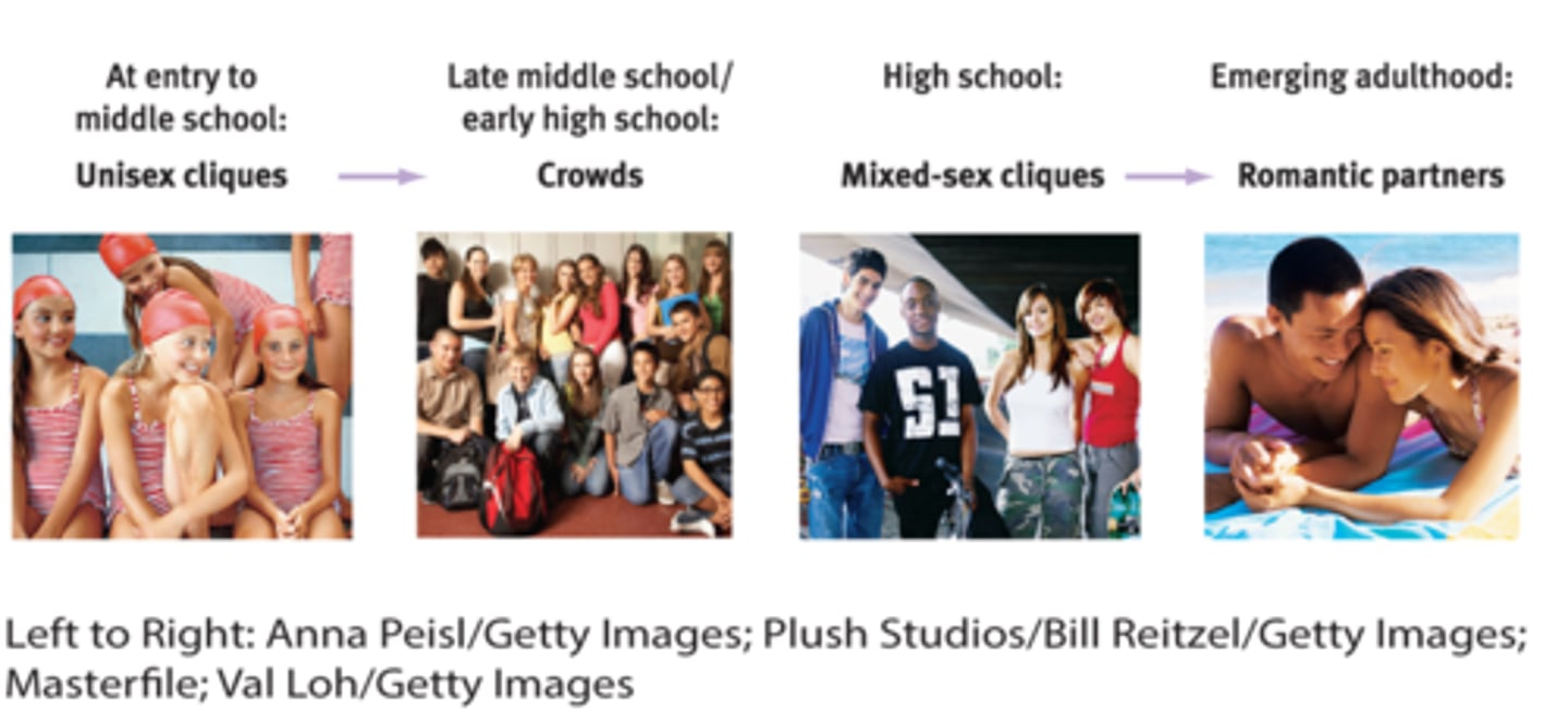 <p>-Crowds – large mixed-sex groups of adolescents that share similar values</p><p>-Cliques – groups of about 6 teenagers with similar attitudes and shared activities</p>