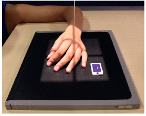 What anatomy is not well demonstrated when the PA oblique hand is performed as show in this photograph? 