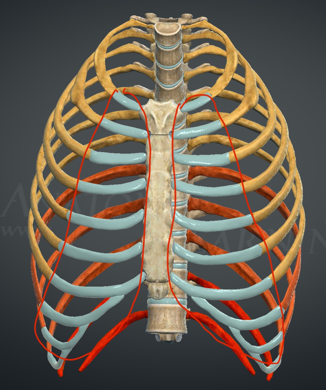 <p>What are these structures?</p>