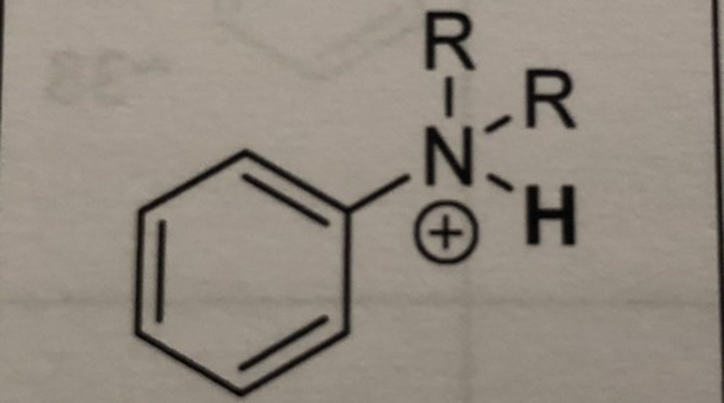 <p>protonated aniline</p>