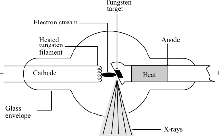 <p>X-Ray Process</p>