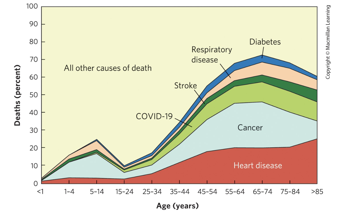 <p>In populations that have a high survival rate, selection tends to favor individuals that reproduce ___ in life and allocate ___ energy to delaying senescence.	</p>