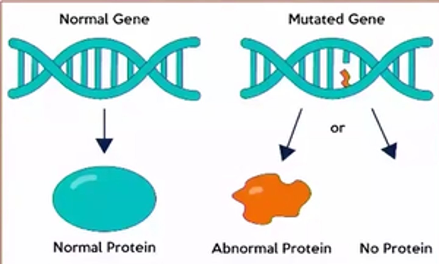 <p>1. hereditary susceptibility or new genetic mutation</p><p>2. mutagen/carcinogen exposure</p>