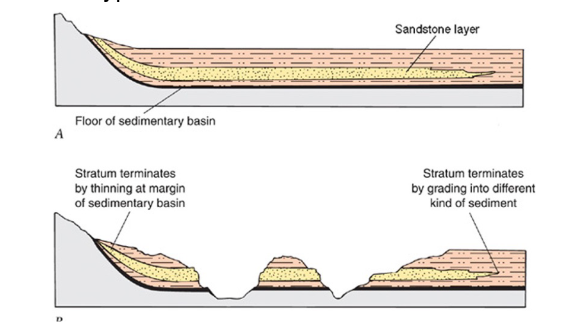 <p>At the time of depotion, strata extened cont in all directions until they termintated by thinning at the edge of the basin, ended abruptly at a barrier to sedimentation, or graded laterally into a different sediment type</p>