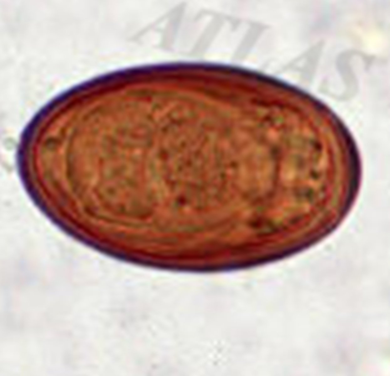 <p>Eggs that look like these are often found in cattle when they accidentally ingest "zombie ants" while they are grazing on infested pastures. They measure 36 to 45µm X 20 to 30µm. What parasite species is associated with cattle and zombie ants as definitive host (DH) and intermediate host (IH), respectively?</p>