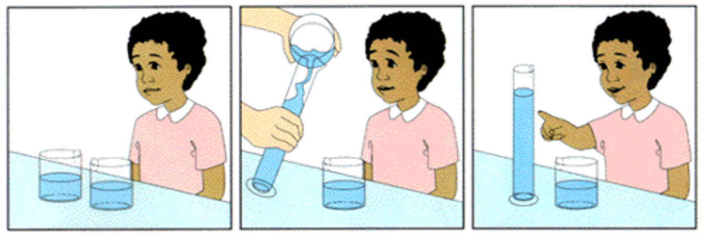 <p>in preoperational stage, the principle that quantity remains the same despite changes in shape</p>