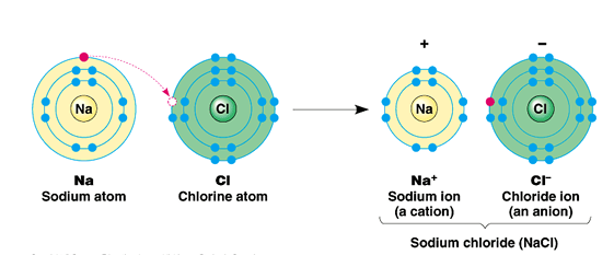 <p>• Unequal sharing of electrons</p><p> • Salts</p>