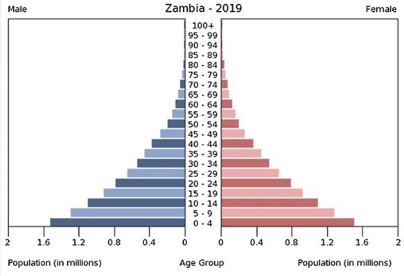 <p>Which data presentation method is shown?</p>