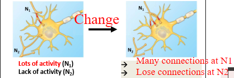 <p>Many connections at N1, Lose connections at N2</p>